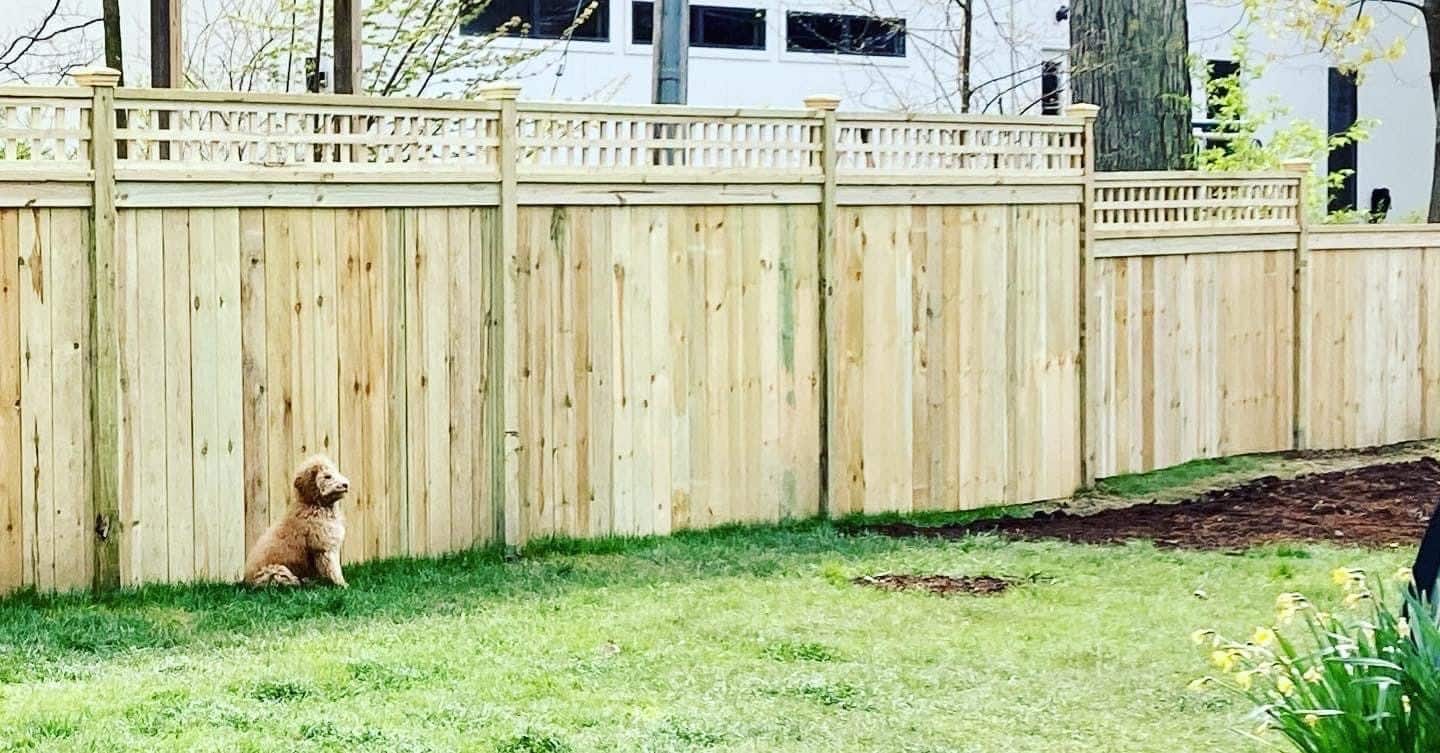 Fence14